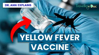 Yellow Fever Vaccine Explained: What You Need to Know - Doctor explains