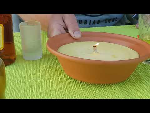 Citronella und Mispelchen 🍋