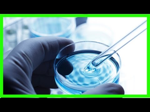 Welche Art von Öl in der Nahrung für Patienten mit Diabetes zu verwenden Zitrusfrüchte und Äpfel können Sie essen bei Diabetes