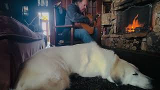 Neil Young - "Pardon My Heart" - The Fireside Sessions II - December 2024