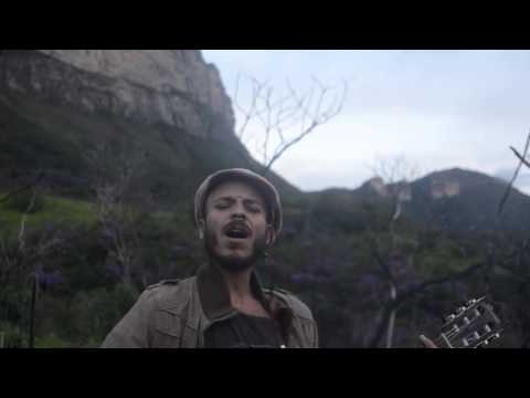 Leonardo Frodo - Pajarito verde