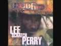 Dub Fire - Lee Scratch Perry