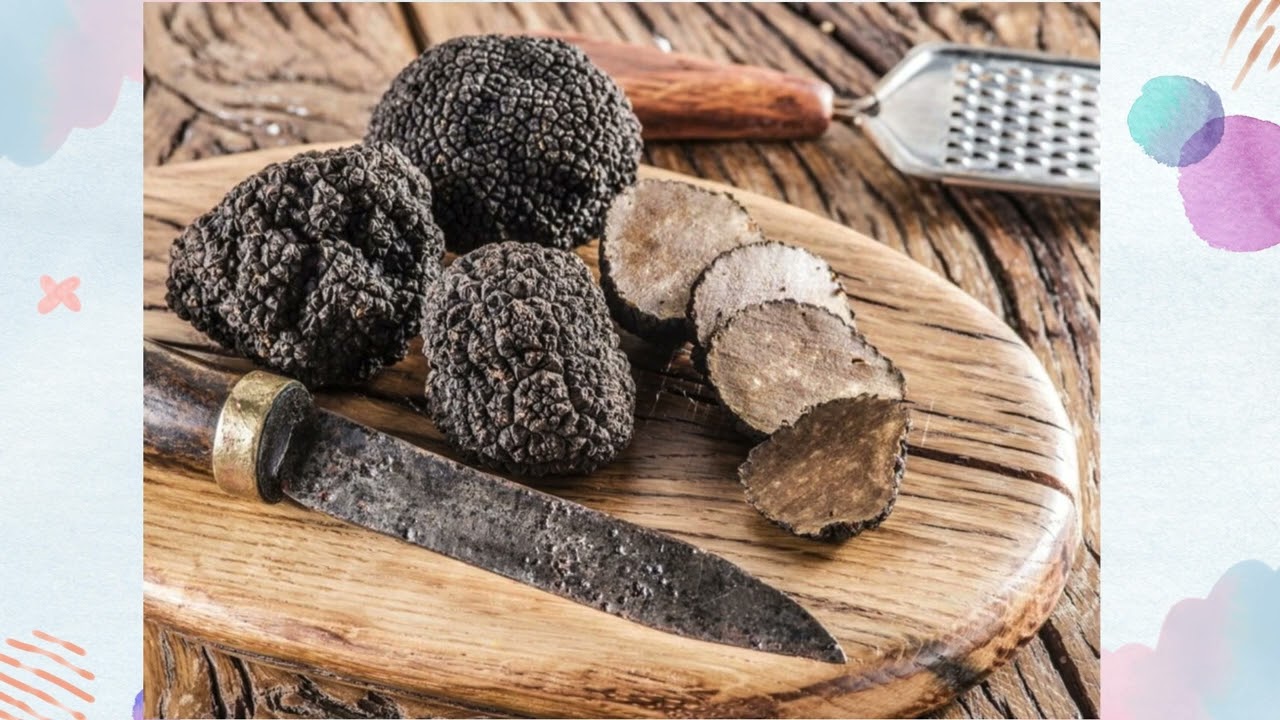 Fungi e Liquenes - resumo do resumo