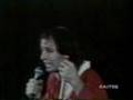 Vasco Rossi Vado Al Massimo Live Lugo RA 1982