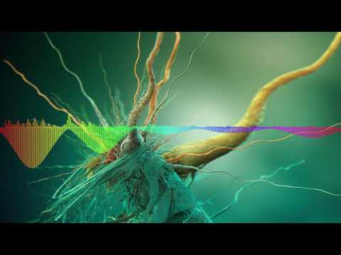 Micar feat. Nico Santos - Brothers In Arms (Horn & Bermann vs Noize Generation Remix) [Koluś Mix]