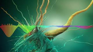 Micar feat. Nico Santos - Brothers In Arms (Horn & Bermann vs Noize Generation Remix) [Koluś Mix]