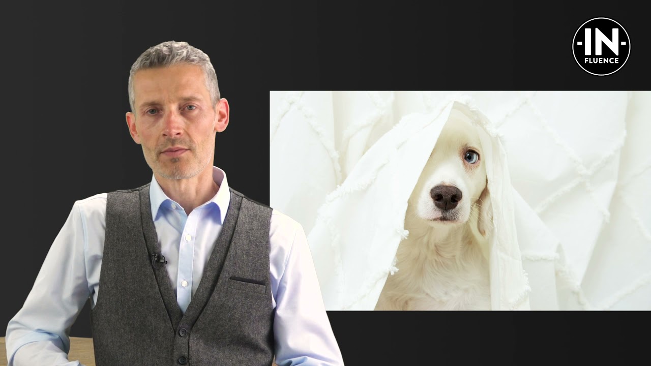 IN-FLUENCE Bachblüten Relax Drops 50 ml IN-FLUENCE Bachblüten Relax Drops 50 ml