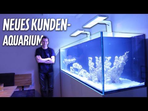Kunde bekommt NEUES AQUARIUM - Wir bauen das DD 1800 auf *PlanktonPlus Aquaristik*