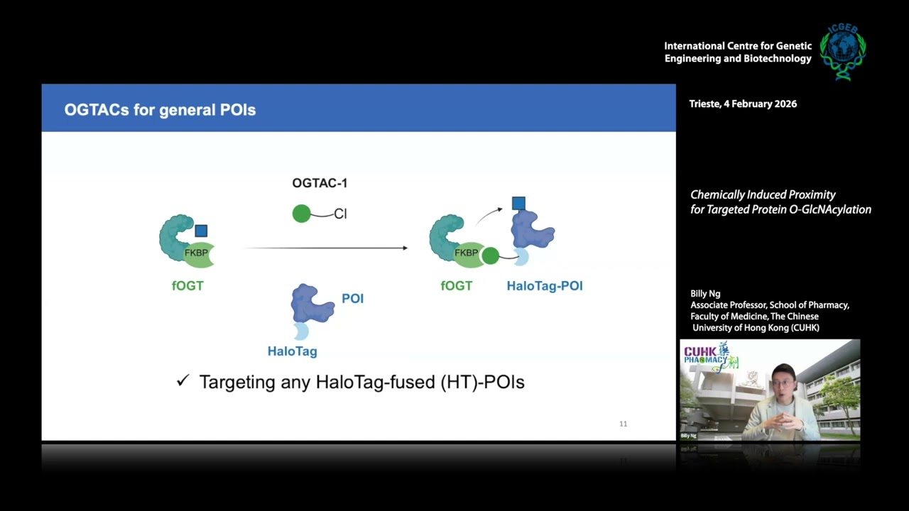 Billy Ng - Chemically Induced Proximity forTargeted Protein O-GlcNAcylation