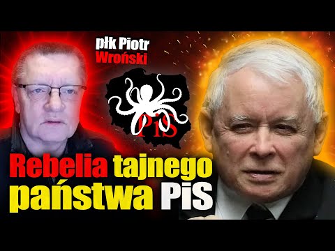 Rebelia tajnego państwa PiS. Płk Piotr WR0ŃSKI o kretach PiS w wojsku i powstaniu Hołowni.