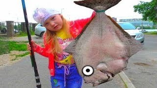 КОГДА ЛЕТОМ ДЕЛАТЬ НЕЧЕГО / ЧТО ДЕЛАТЬ КОГДА СКУЧНО / КАКАЯ РЫБА ВОДИТСЯ В НАШИХ РЕКАХ