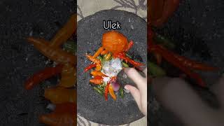 Download lagu RESEP SAMBAL TERASI REBUS #shorts mp3 Download lagu RESEP SAMBAL TERASI REBUS #shorts mp3