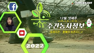 [ 주간농사정보 ] 12월 넷째주 (2021. 12. 19. ~ 2021. 12. 25.)
