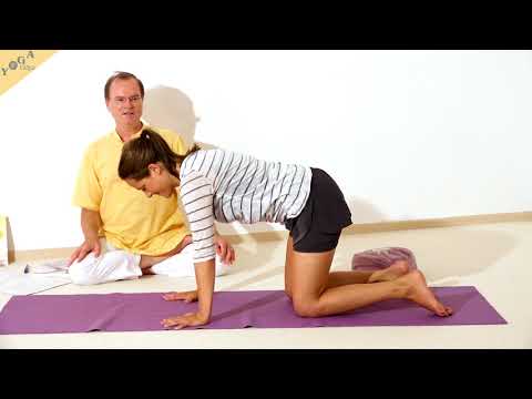 Yoga Katze - Yoga Asana Lexikon