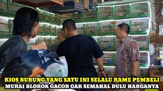 Download lagu MURAI BLOROK GACOR HARGANYA GAK SEMAHAL DULU!!!HARGA BURUNG DIKIOS JEPARA BAROKAH PB. PRAMUKA  mp3