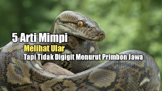 Download lagu 5 Meanings of Dreams About Seeing a Snake But Not Being Bitten According to Javanese Primbon mp3 Download lagu 5 Meanings of Dreams About Seeing a Snake But Not Being Bitten According to Javanese Primbon mp3