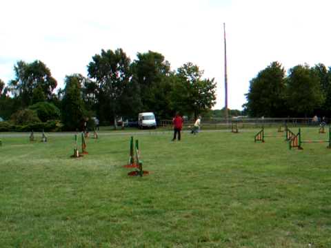 Ellery at the DINAS show 2011