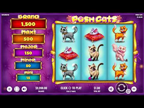 Posh Cats – Video Gameplay