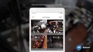 Video Surveillance & Camera Security Systems for Business Owners by AD