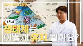 [초등과학, 실험, 인강] 5학년 2학기 2단원 5차시 생태계는 어떻게 유지될까요?