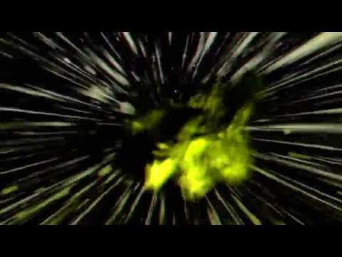 GTRONIC - MORPHEUS (Official Video)