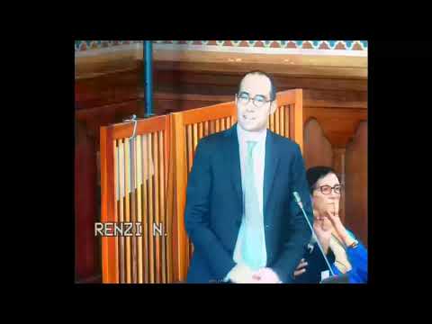 Intervento di Nicola Renzi sulla disciplina della attività economiche (D185)