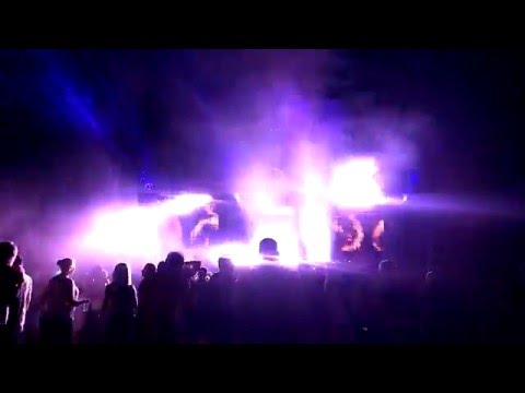 Survey Petticoat Pandaland 29 8 2015