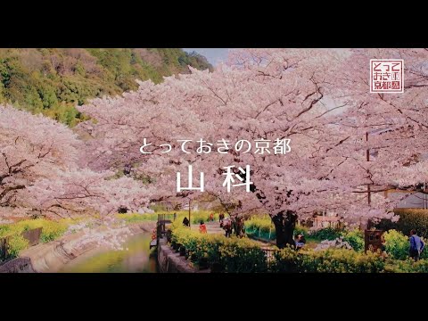 とっておきの京都プロジェクト 山科