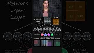 Filter Value Connections in CNNs 🔗 - Understanding Network Weights 🎚️ - Topic 269 #ai #ml