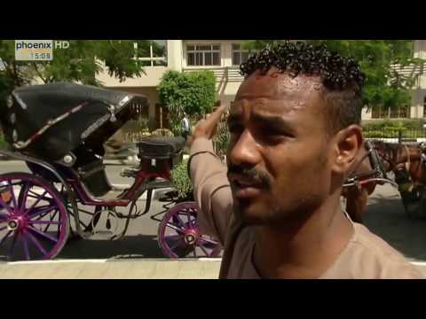 Ausverkauf am Nil - Grabräuber zerstören Ägyptens Weltkultur (Qualitäts Upgrade)