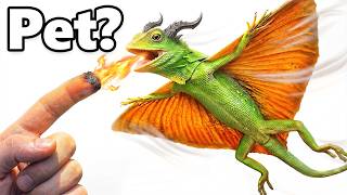 I Got a Pet Dragon... (actually flies)