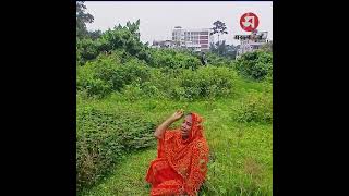 সাভারে খরগোশের লোভ দেখিয়ে ৫ বছরের শিশুকে ধর্ষ/ণ, ঘটনাস্থলে দাদির আহাজারি | Daily Sakalbela