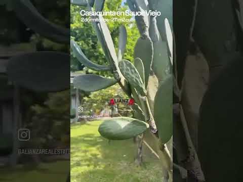 Casa Quinta | Calle Santa Fe - Sauce viejo