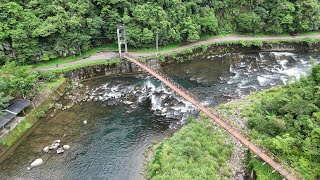 心馳神往 戀戀不忘......坪林~粗石斛吊橋!