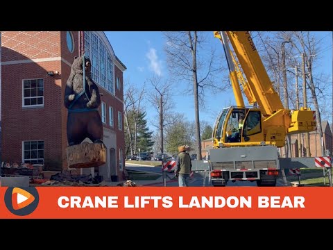 Crane Lifts 18-Foot Bear Statue At Landon School Onto New Platform