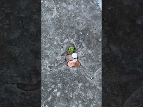 I Found the Famous Frog Hole! (Like Chicago’s Rat Hole)