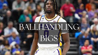 Naz Reid, Alperen Sengun and Valuing Handling Bigs