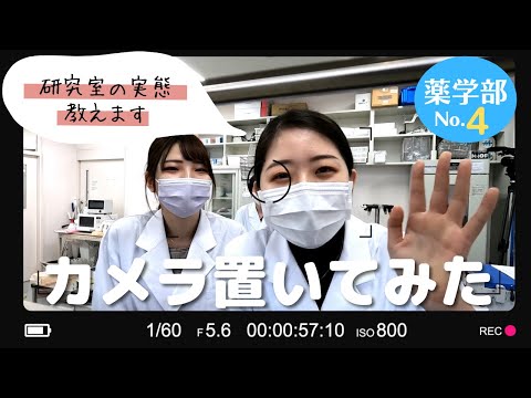 心理学科 こんなにアットホームなの！！薬学部研究室の実態とは！？愛学薬学部にこっそりカメラを置いてみた！～研究室編～
