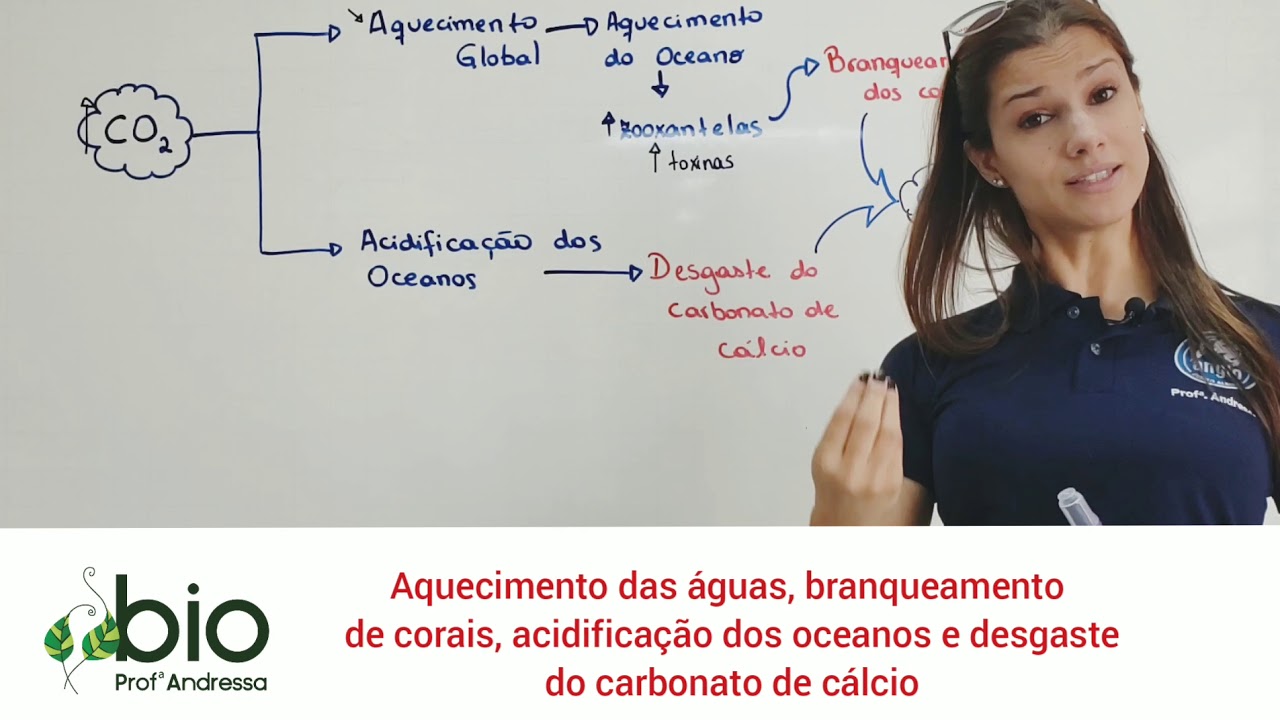 Acidificação dos oceanos, desgaste do carbonato de cálcio e branqueamento de corais