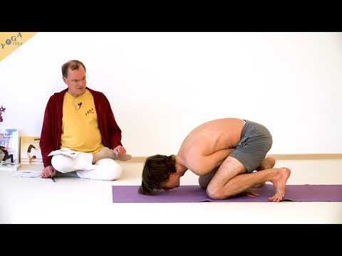 Schwan --Stellung der Wildgans - Schwanenpose - Hamsasana - Yoga Asana Lexikon