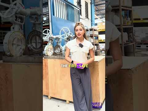 The High Performance Double Eccentric Butterfly Valve