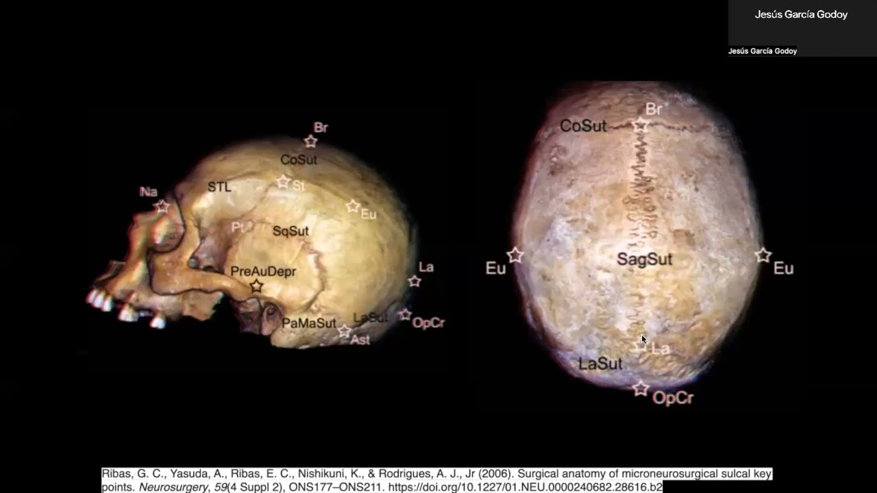 Victor Hernandez Alvarez-4