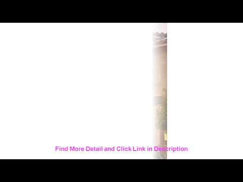 Review El Colibri Hotel & Spa Hotel | United States