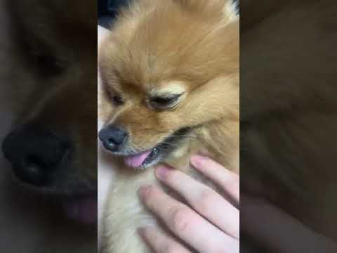 2021.02.20 Zelo Instagram Live