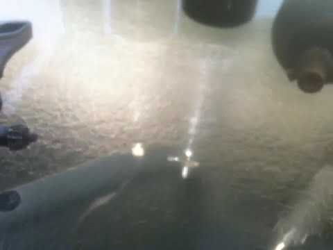 Burst Disk Caught In The Act Of Doing Its Job