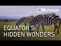 Equatorial Marvels - Explore Nature's Most Spectacular Landscapes | Full Nature Documentary