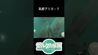 グリオークがザル警備すぎて草 #ゼルダの伝説ティアーズオブザキングダム