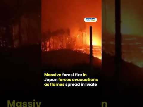 Massive Forest Fire in Iwate Forces Evacuation 1000+ Residents at Risk Japan Wildfire Emergency