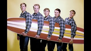The Beach Boys - A Young Man is Gone