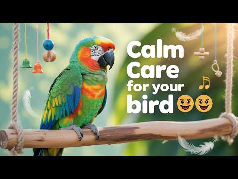 Calm Care for Your Feathered Friend 🐦 | Bird Nutrition & Happiness Tips